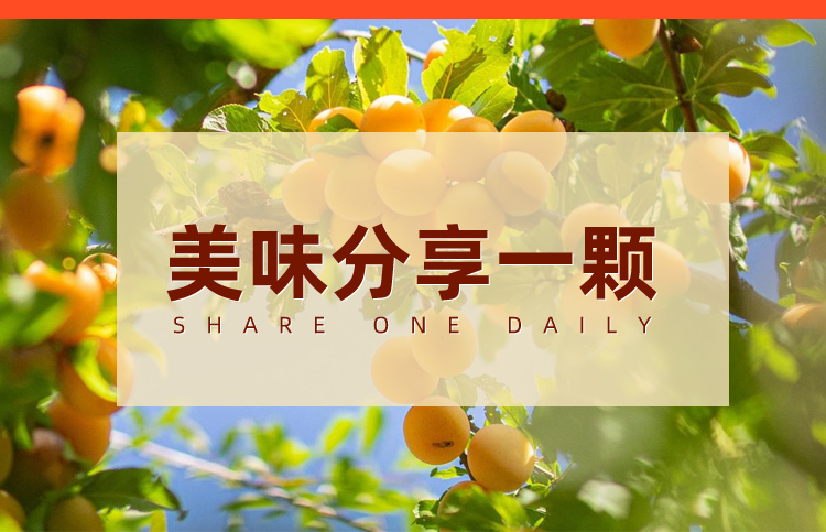 詳情_12.jpg